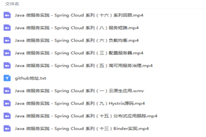 Spring Boot核心技术深度实践视频教程 - 零度风格-零度风格