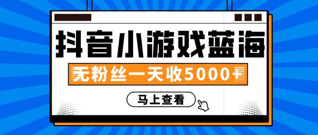 抖音小游戏蓝海项目，无粉丝一天收入5000+ - 零度风格-零度风格