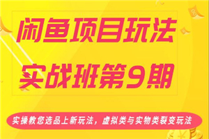 闲鱼项目玩法实操教程 教您选品上虚拟类与实物类裂变玩法 - 零度风格-零度风格