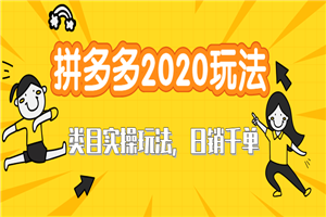 拼多多2020最新类目实操玩法教程 玩转直通车轻松操作到日销千单爆款 - 零度风格-零度风格