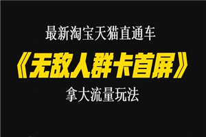 最新淘宝天猫直通车《无敌人群卡首屏》拿大流量玩法-震撼发布 - 零度风格-零度风格