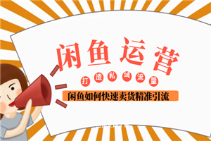 闲鱼运营 闲鱼如何快速卖货精准引流打造私域流量池 - 零度风格-零度风格