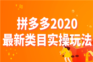 拼多多2020最新类目实操玩法，轻松操作到日销千单 - 零度风格-零度风格