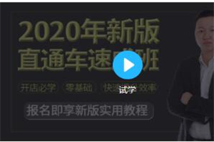 2020新版淘宝运营直通车实战玩法教程（价值299） - 零度风格-零度风格