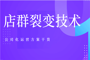 新手淘宝客也能年产200万店群裂变技术以及公司化运营方案 - 零度风格-零度风格