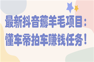 最新抖音薅羊毛项目：懂车帝拍车赚钱任务！【视频教程】 - 零度风格-零度风格