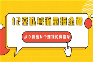 12堂私域流量掘金课：从0做出N个赚钱的微信号【完结】 - 零度风格-零度风格