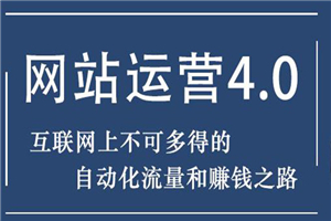 暴疯团队网站赚钱项目4.0:网站运营与盈利 实现流量与盈利自动化的赚钱之路 - 零度风格-零度风格