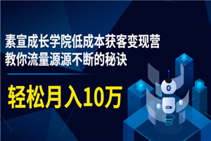 素宣成长学院低成本获客变现营，教你流量源源不断的秘诀，轻松月入10万 - 零度风格-零度风格