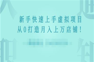 2022年虚拟项目实战指南，新手从0打造月入上万店铺 - 零度风格-零度风格