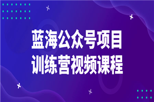 蓝海公众号项目训练营视频课程 - 零度风格-零度风格