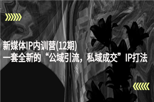 新媒体IP内训营(12期)，一套全新的“公域引流，私域成交”IP打法，直接带走 - 零度风格-零度风格