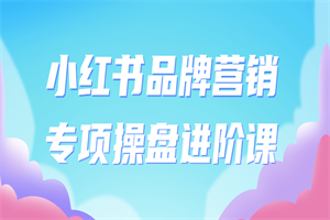 小红书品牌营销专项操盘进阶课 - 零度风格-零度风格